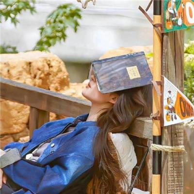 不在灯火阑珊处